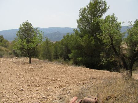 Overlooking the Espuna National Park, the plot is approximately 12 kilometeres from Pliego near Mula, Spain