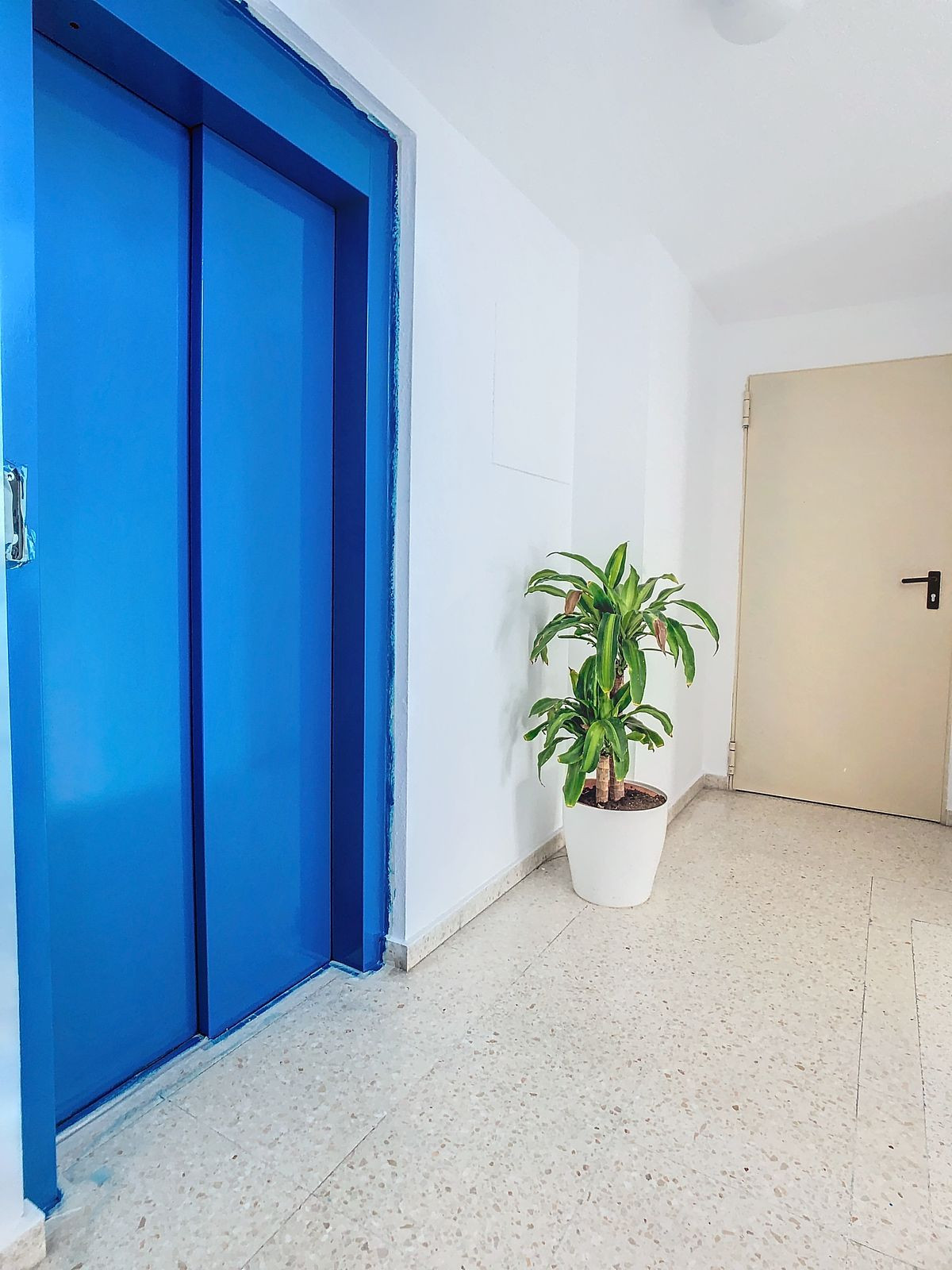 Apartamento con 3 Dormitorios en Venta Málaga