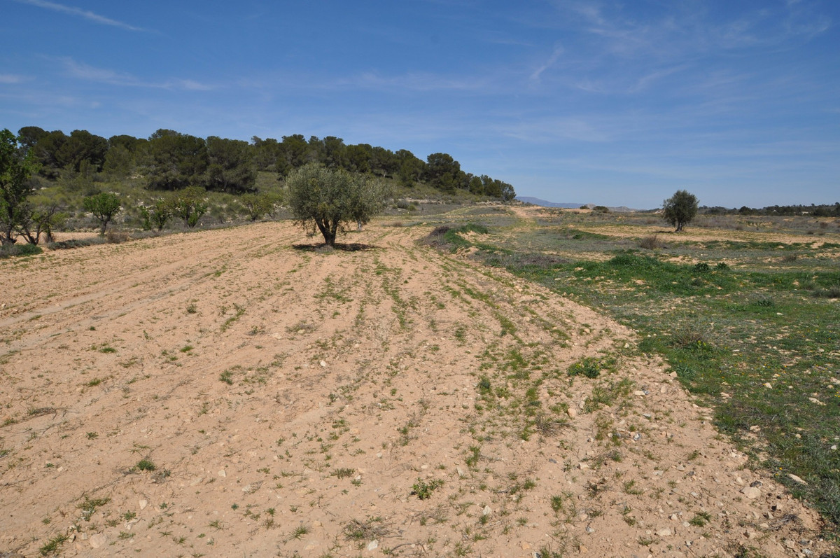 A legal building plot with amazing views and very easy access to the village of La Zarza and only a , Spain