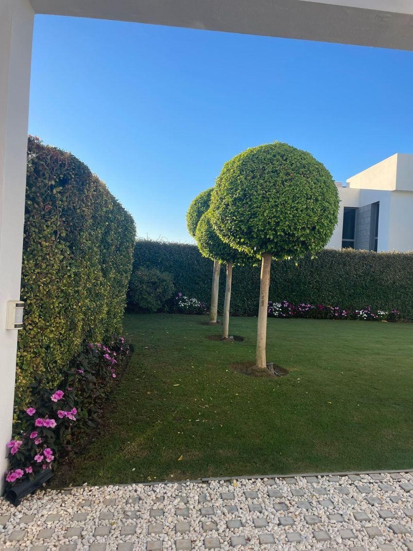 5 bedroom Villa For Sale in Cancelada, Málaga - thumb 28