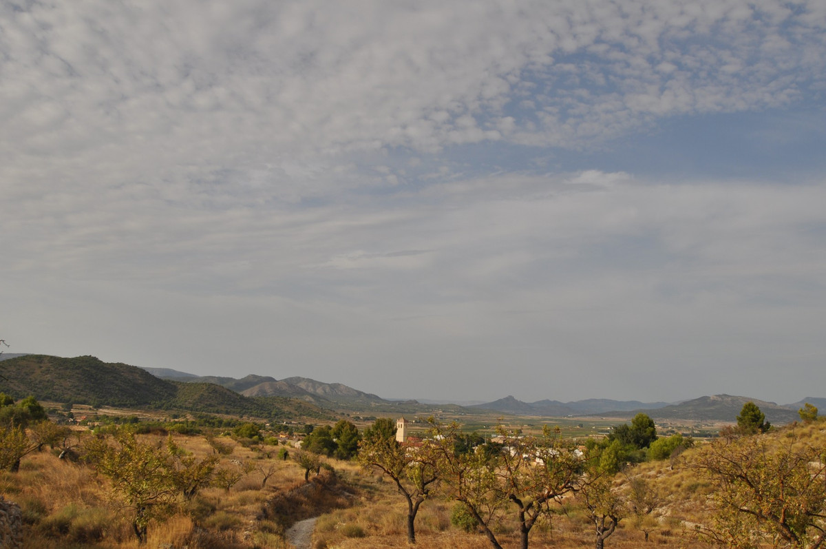 This is a lovely plot located on the edge of a small village which offers facilities such as bars, r, Spain