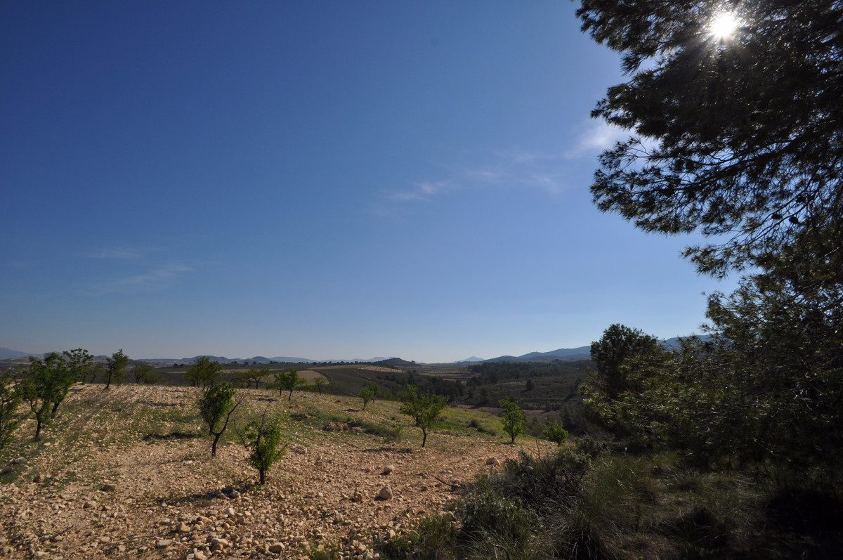 This plot is located in the stunning location of La zarza and is set on the edge of the National par, Spain
