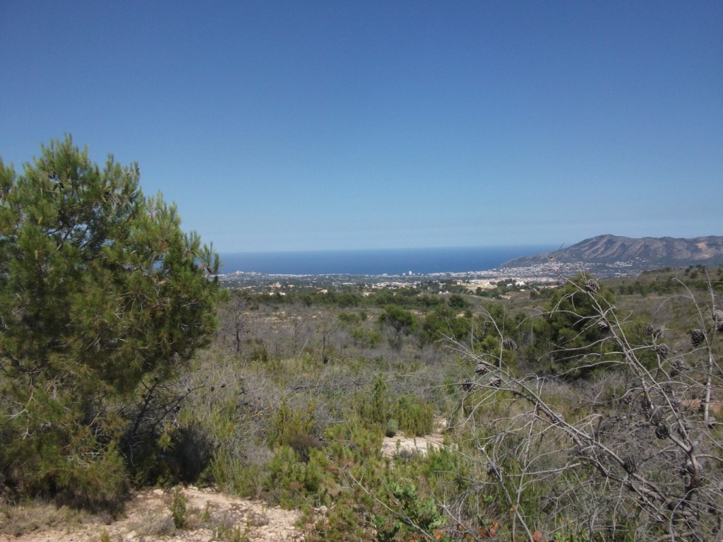 Huge opportunity!  10,000m2 plot of land for sale near La Nucia and Polop that has permission to bui, Spain