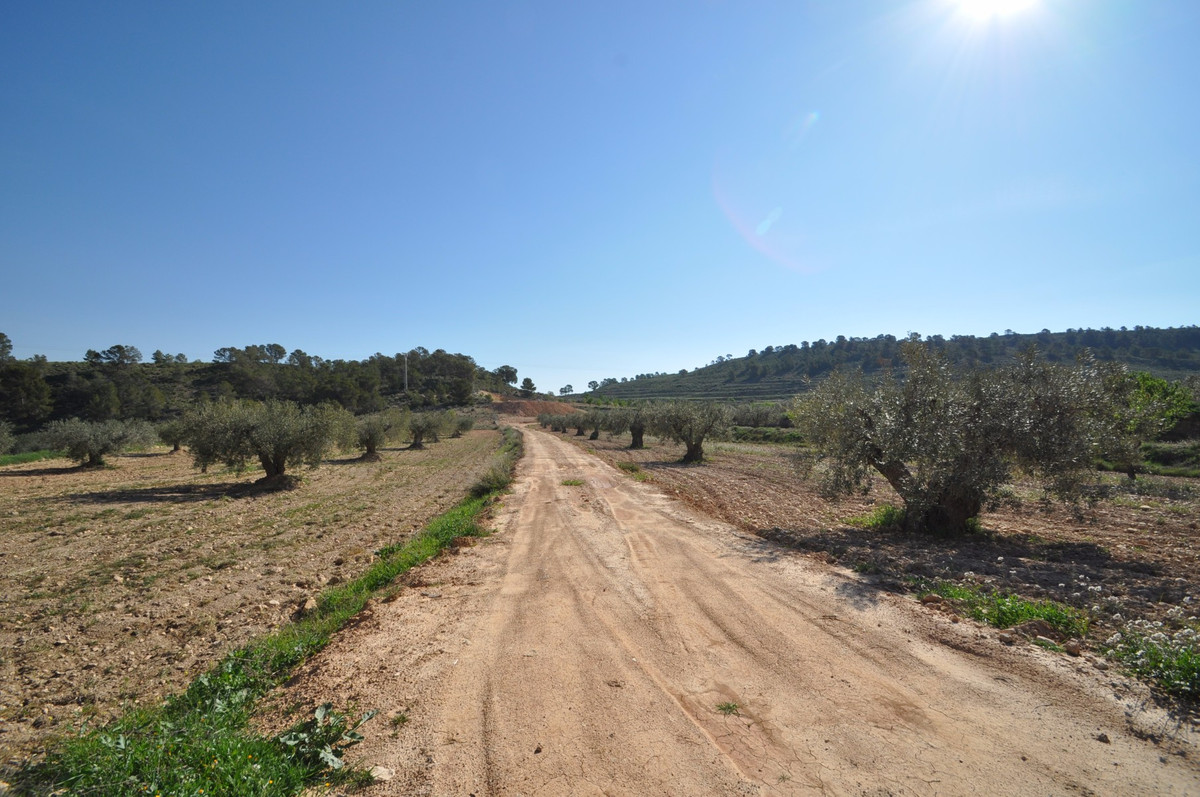 This plot is located in the stunning location of La zarza and is set on the edge of the National par, Spain