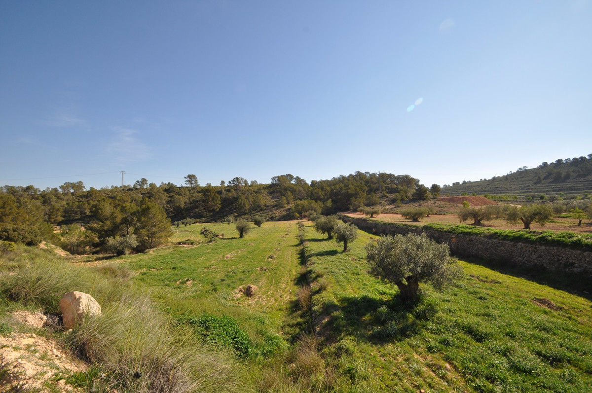 This plot is located in the stunning location of La Zarza and is set on the edge of the National par, Spain