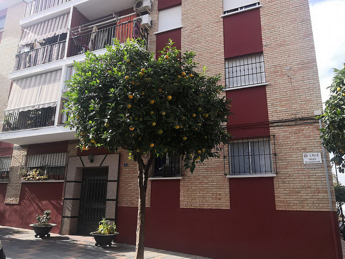 Apartment - Mijas