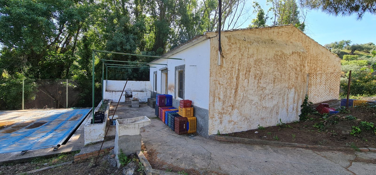 Great opportunity to purchase a total of more than 22.000m2 of land in the area of Tolox, offering different fruit trees, avocado trees and olive t...
