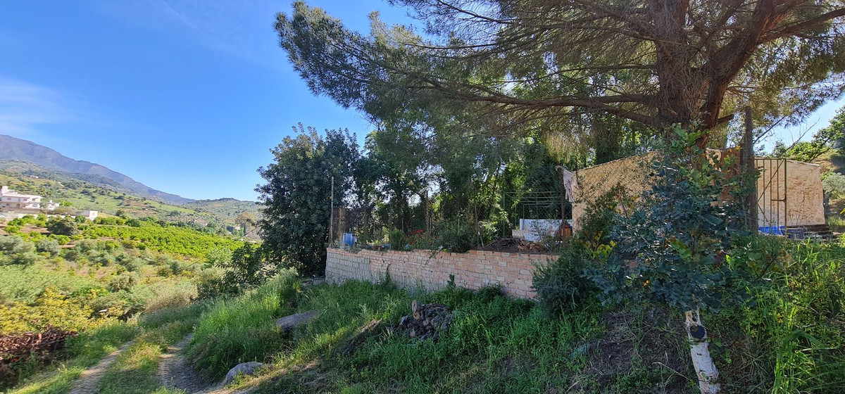 Great opportunity to purchase a total of more than 22.000m2 of land in the area of Tolox, offering different fruit trees, avocado trees and olive t...