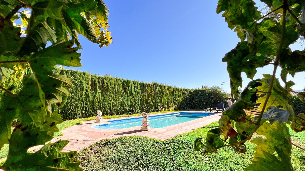 Charming farm located in the heart of the Serranía de Ronda, in a very quiet place, where you can enjoy nature.