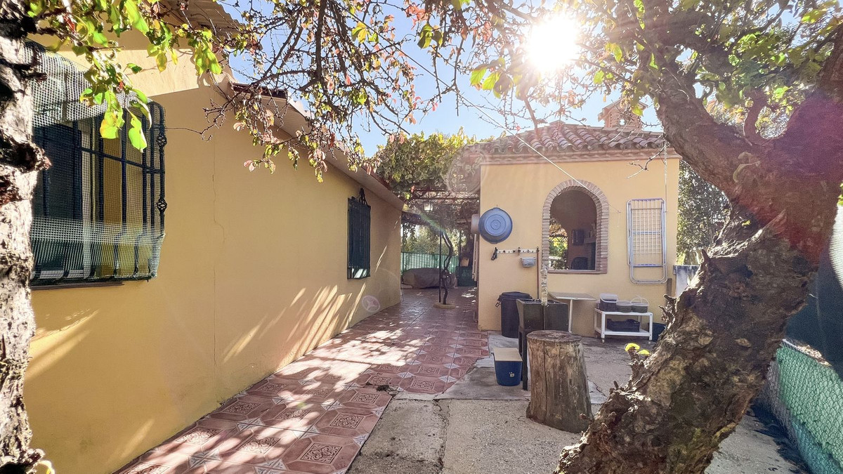 Charming farm located in the heart of the Serranía de Ronda, in a very quiet place, where you can enjoy nature.