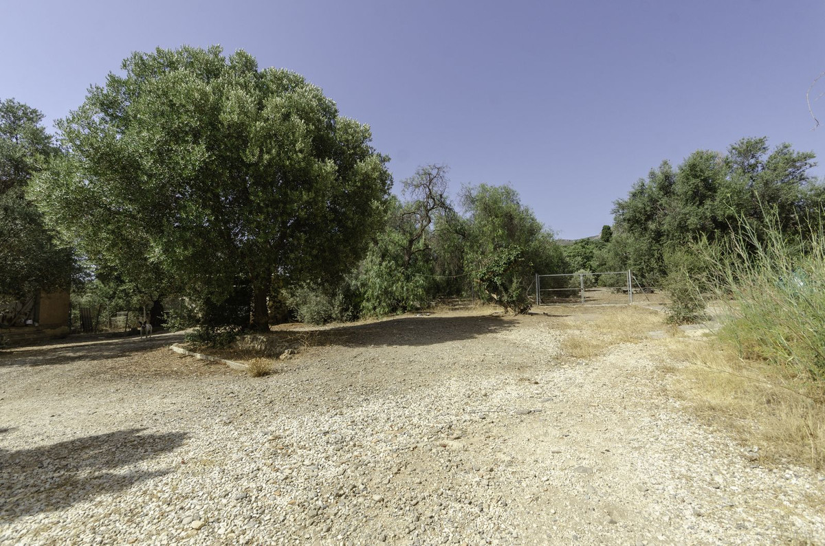 						Plot  Land
													for sale 
																			 in Churriana
					