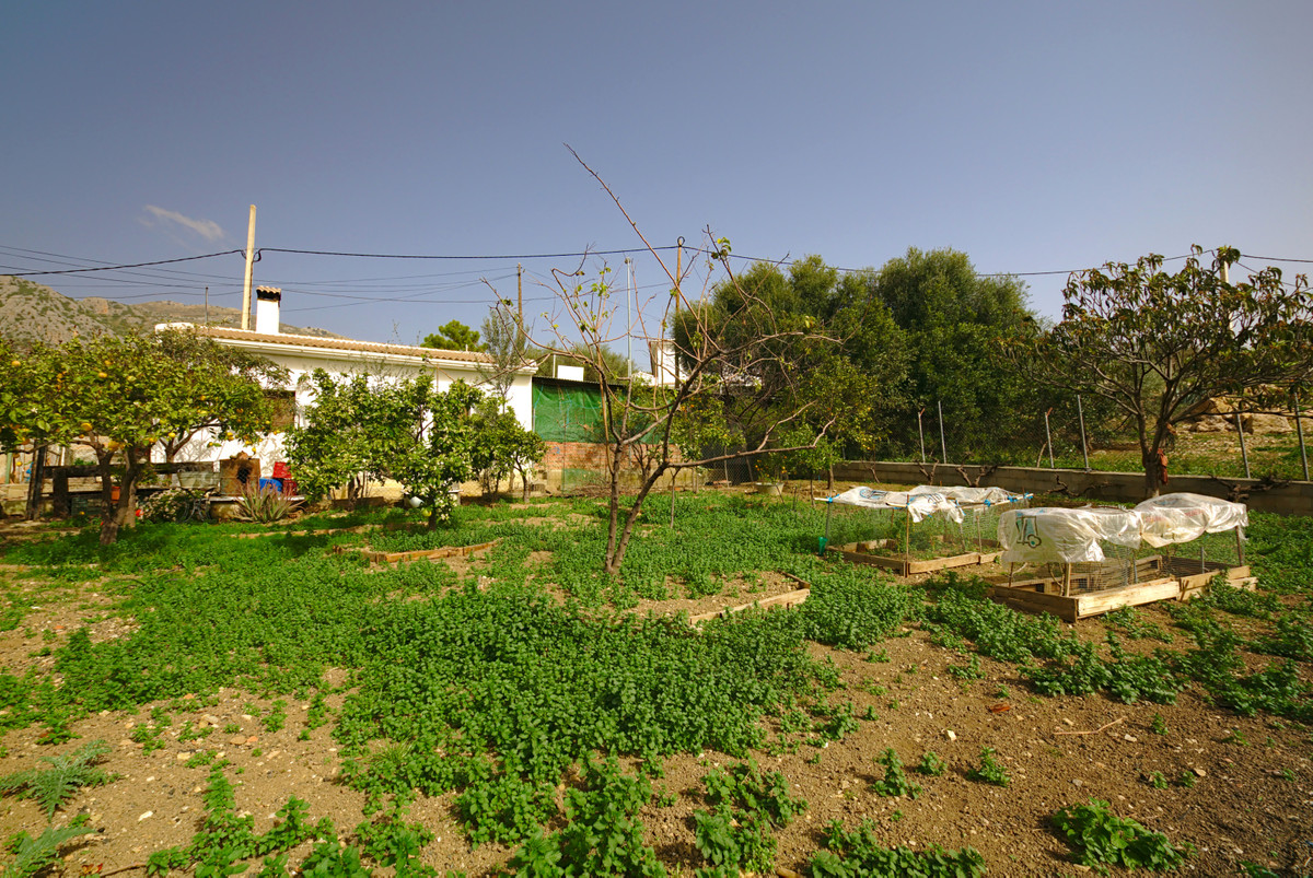 Urban plot in Mondrón, (Periana) surrounded by nature.