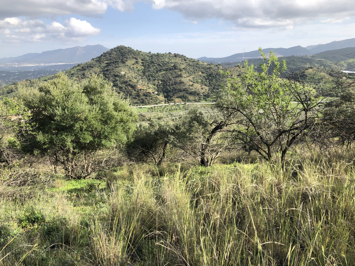 Stunning piece of rustic land with incredible views in the Coin countryside.

The land measures over, Spain