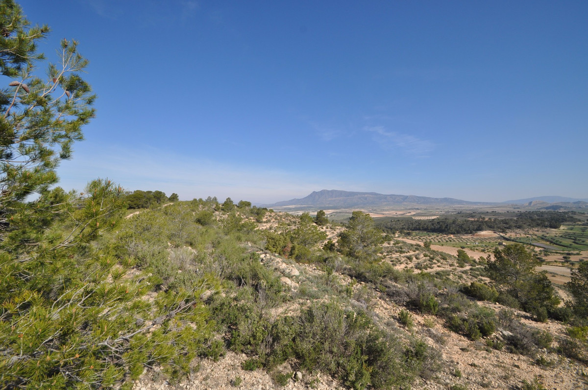This plot is located in the stunning location of La Zarza and is set on the edge of the National par, Spain