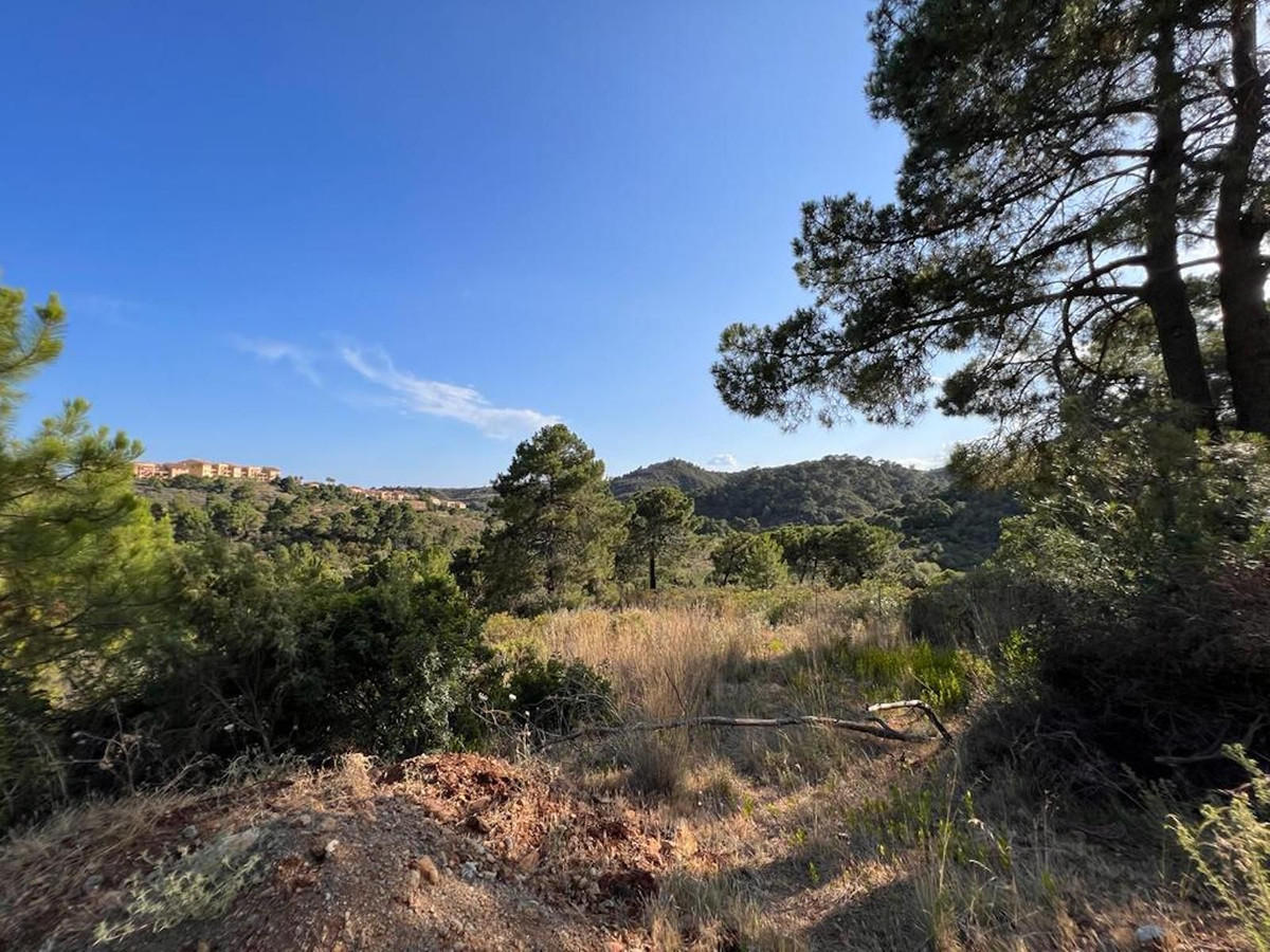 Sale of plot with project ready to build an urbanization with apartments located in  La Resina Estep, Spain
