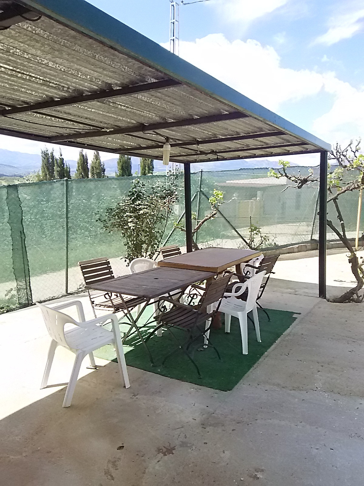 Fabulous farm of 11,000 m2 in Coín with about 100 olive trees.