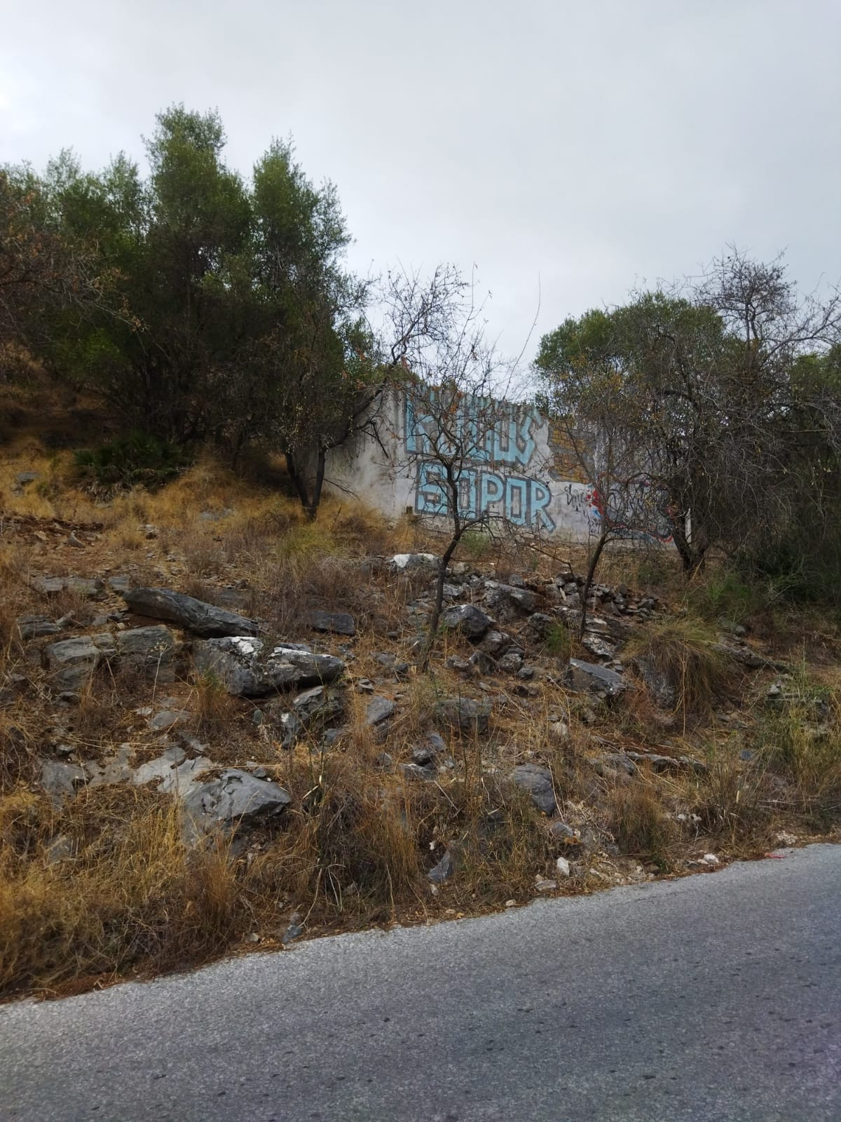 Nice piece of land for sale in Alhaurin de la Torre, there is a 74m2 building that would need to be , Spain