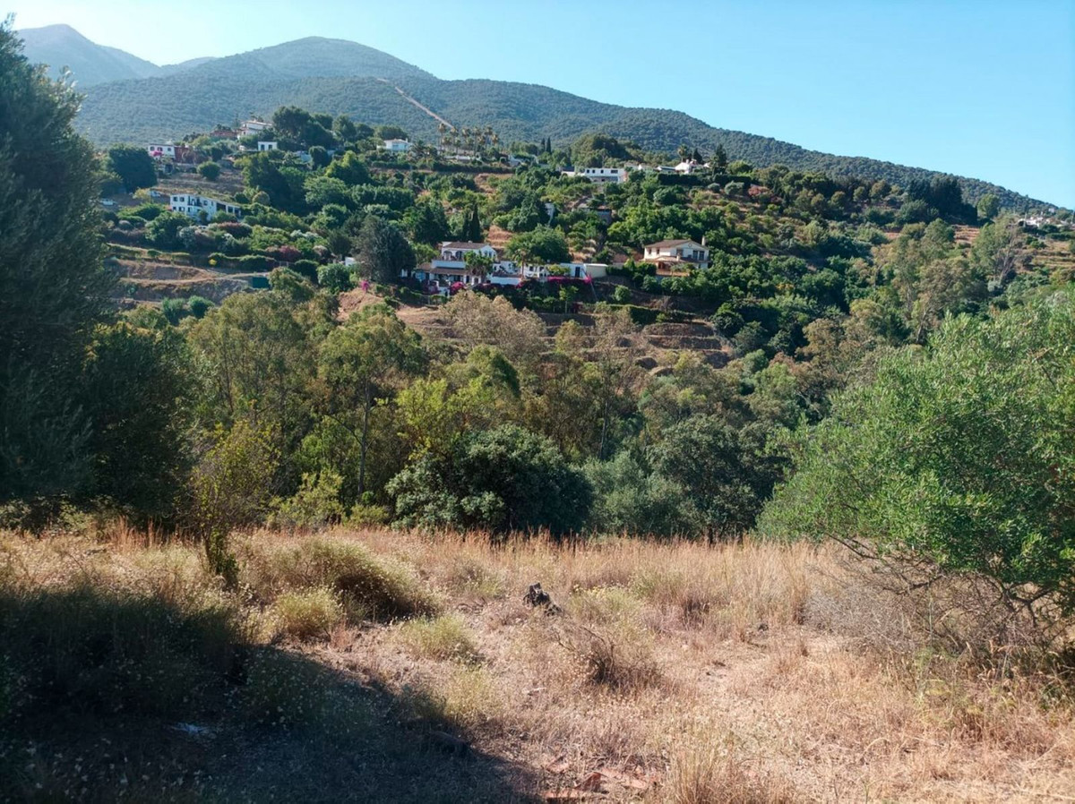 Rustic plot located on the outskirts of Alhaurin el Grande with very good access and great views of the Sierra de Alhaurin.