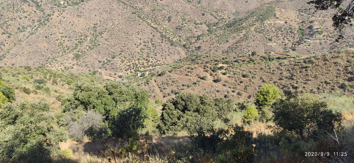 2942-V For sale rustic plot of 6.000m2 with fruit trees ( almond trees, olive trees and fig tree), with a project to build a warehouse of 50m2, wat...