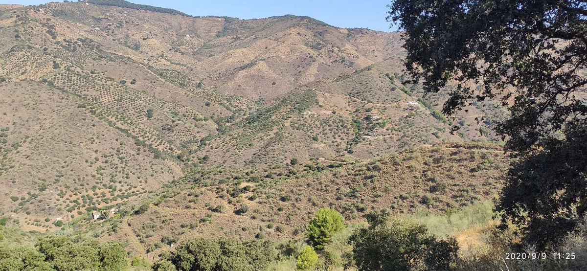 2942-V For sale rustic plot of 6.000m2 with fruit trees ( almond trees, olive trees and fig tree), with a project to build a warehouse of 50m2, wat...