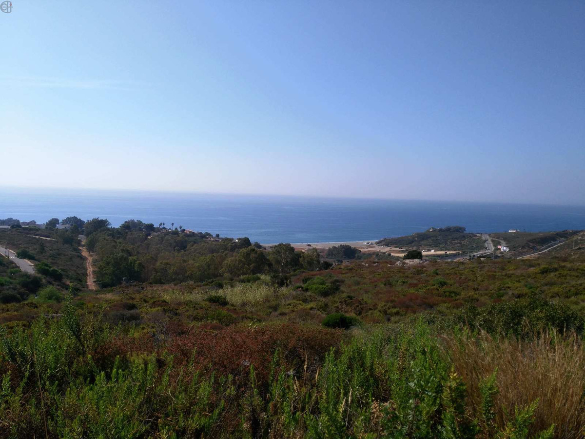 San Roque, Costa del Sol, Cádiz, Espanja - Juoni - Asuin