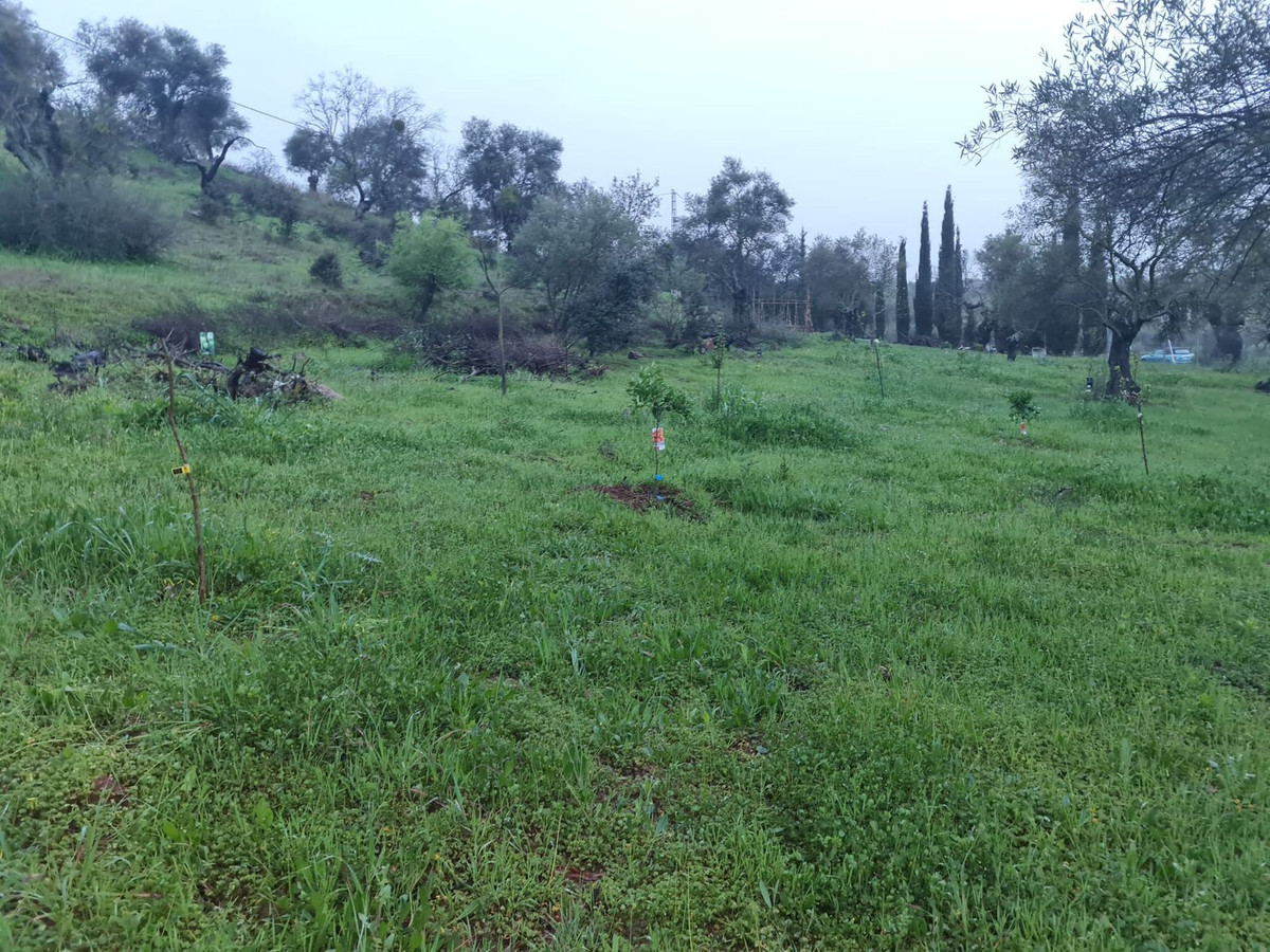 						Plot  Land
													for sale 
																			 in Coín
					