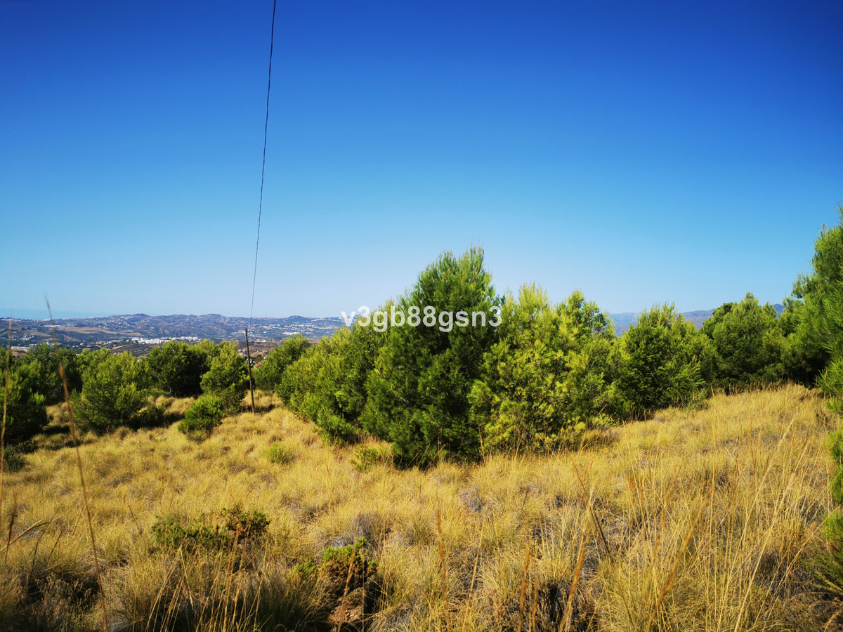 This is a magnificent opportunity for an investor to purchase a total of 5 urban  building plots  Pl, Spain