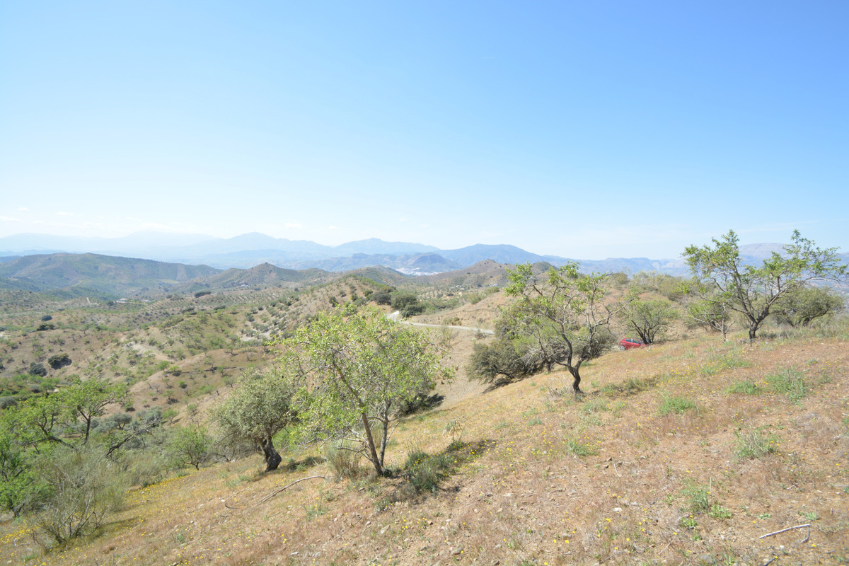 Land of 20.000 m2 with almonds trees in one of the typical white village of Malaga with panoramic vi, Spain
