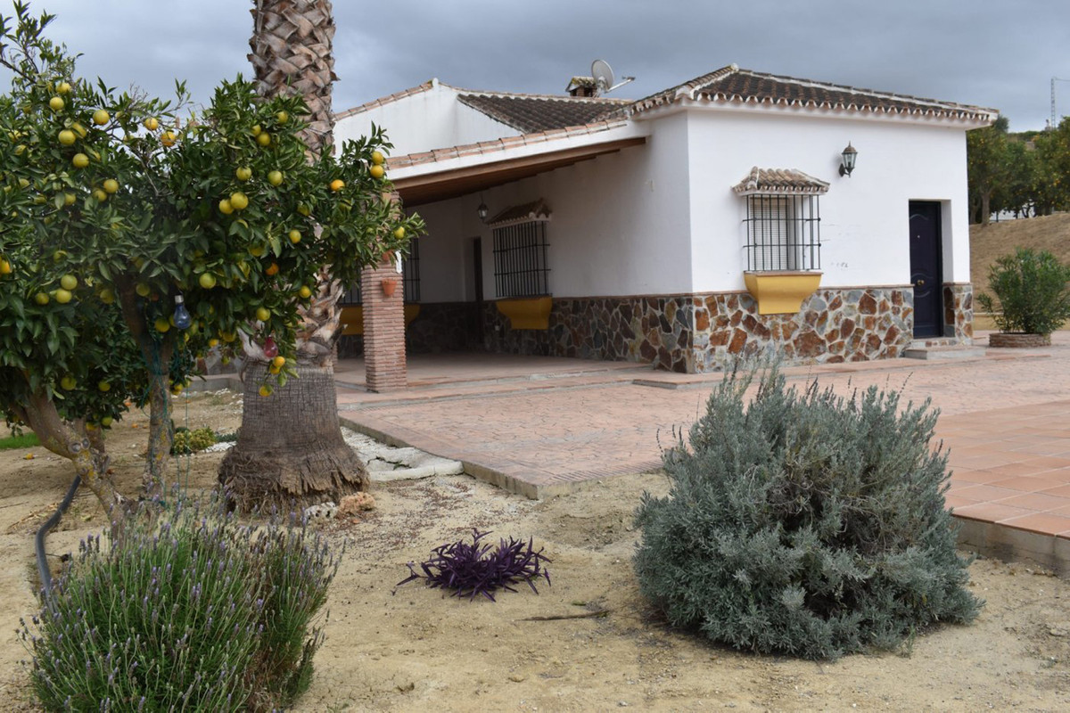 House in Alhaurín el Grande R3957445 8