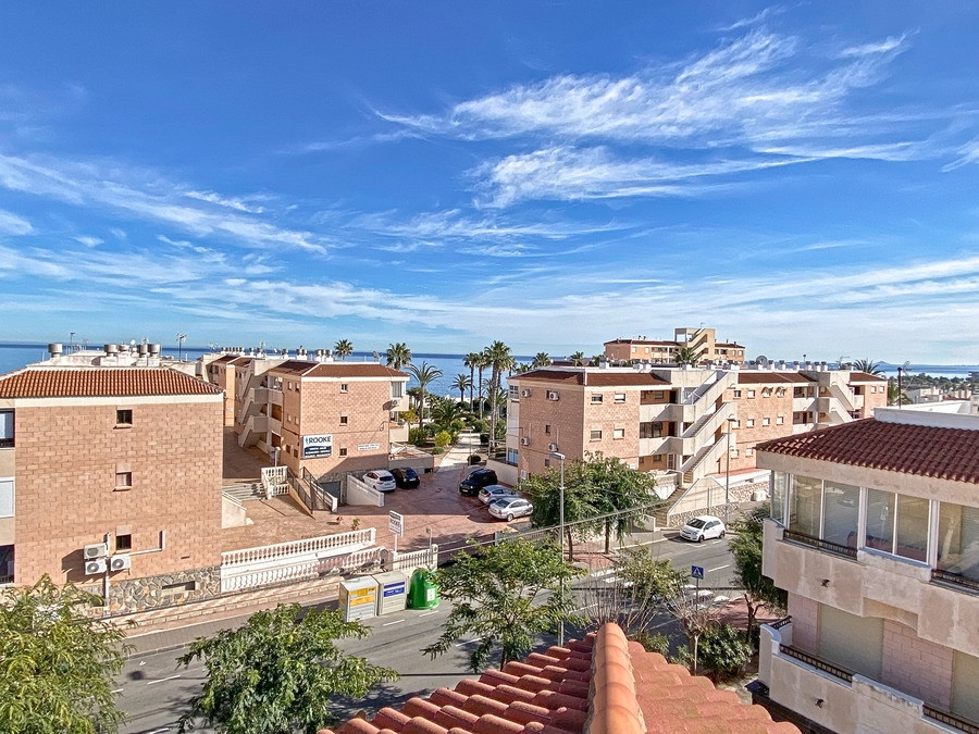 Near by one of the best beaches in the south of Costa Blanca we offer for sale this cozy studio apar, Spain