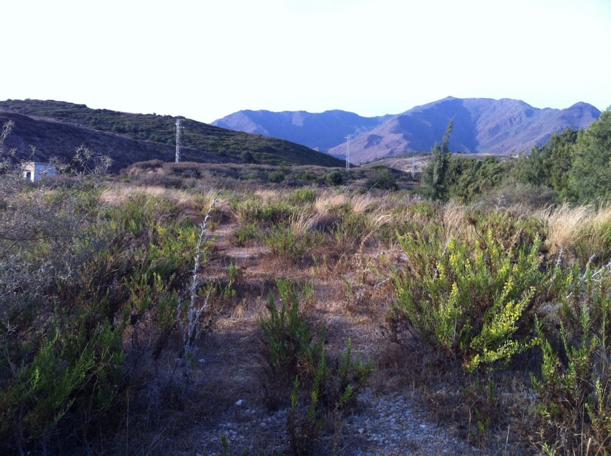 LAND, between Estepona and Casares, STUNNING VIEWS both SEA and MOUNTAIN, just a few meters from the Mediterranean SEA, possibility of conversion t...