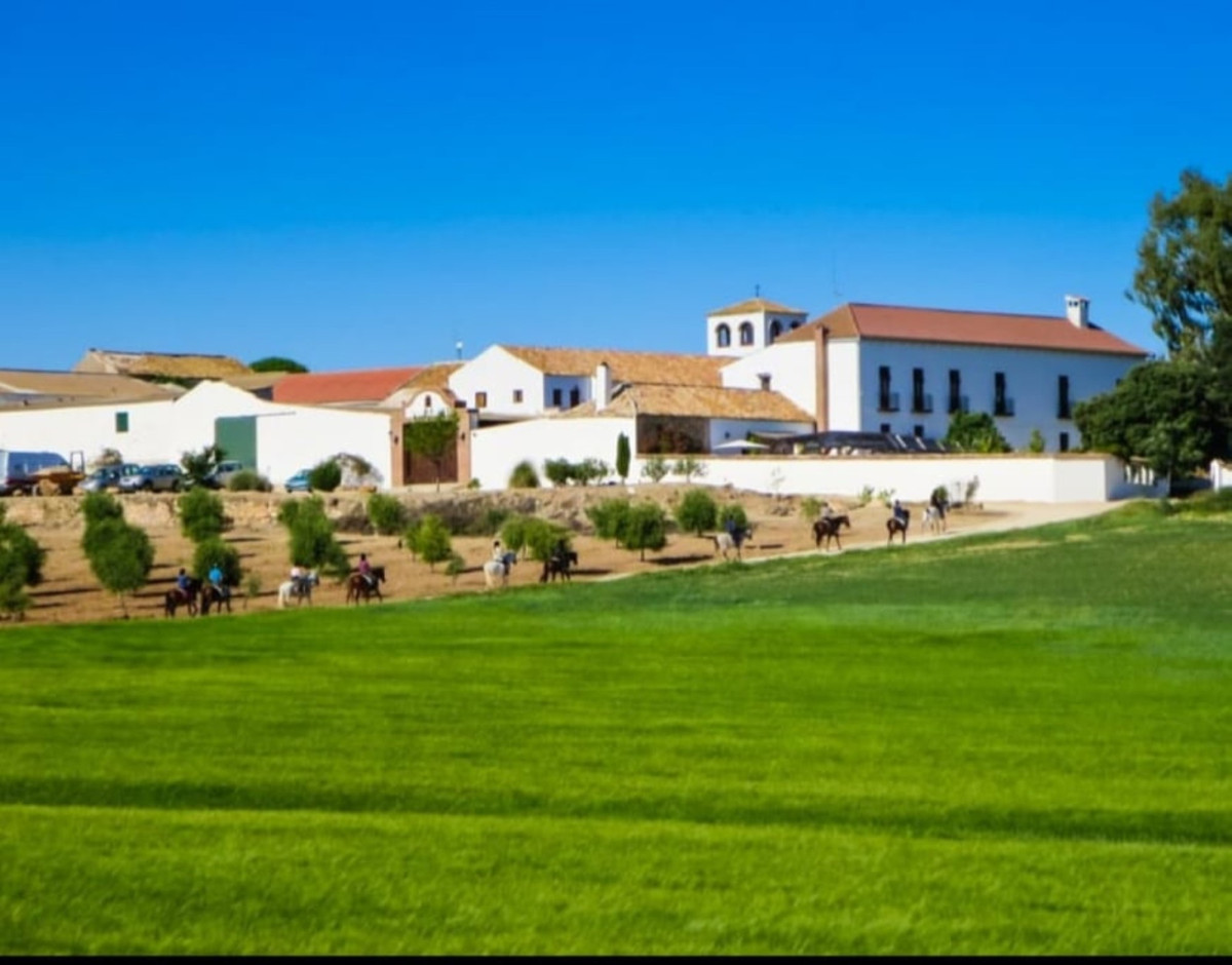 About the Hacienda ~ Cortijo Uribe
Our 16th Century farmhouse has been lovingly restored with lots o, Spain