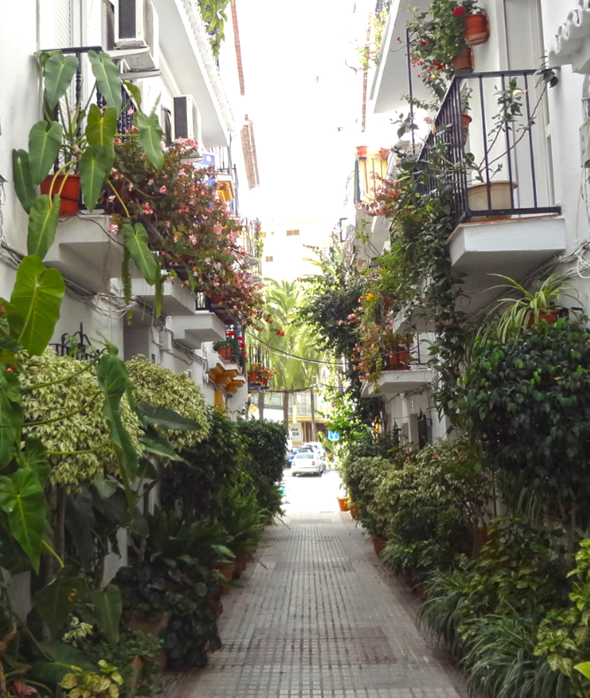 OFF MARKET UNTIL JANUARY 2022
A nice Guesthouse in the old town of Marbella only 3 minutes walking t, Spain