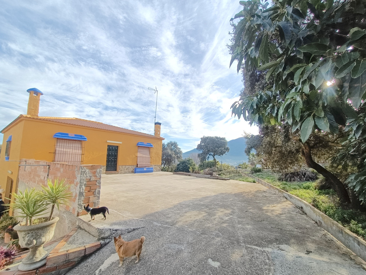 Finca with two seperate entrances situated next to the well known urbanisation Las Delicias in Coín.