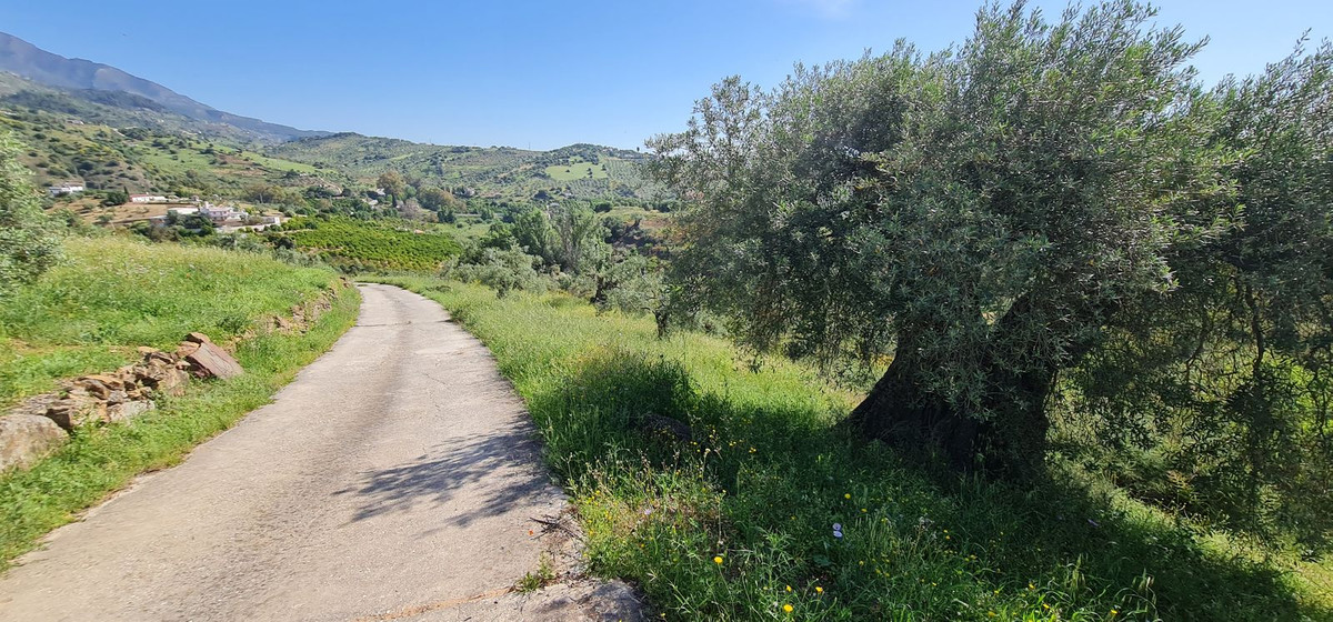 Land For Sale Tolox