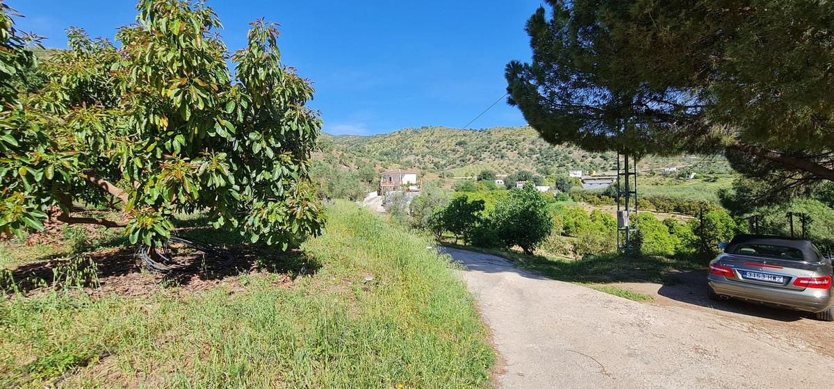 Land For Sale Tolox