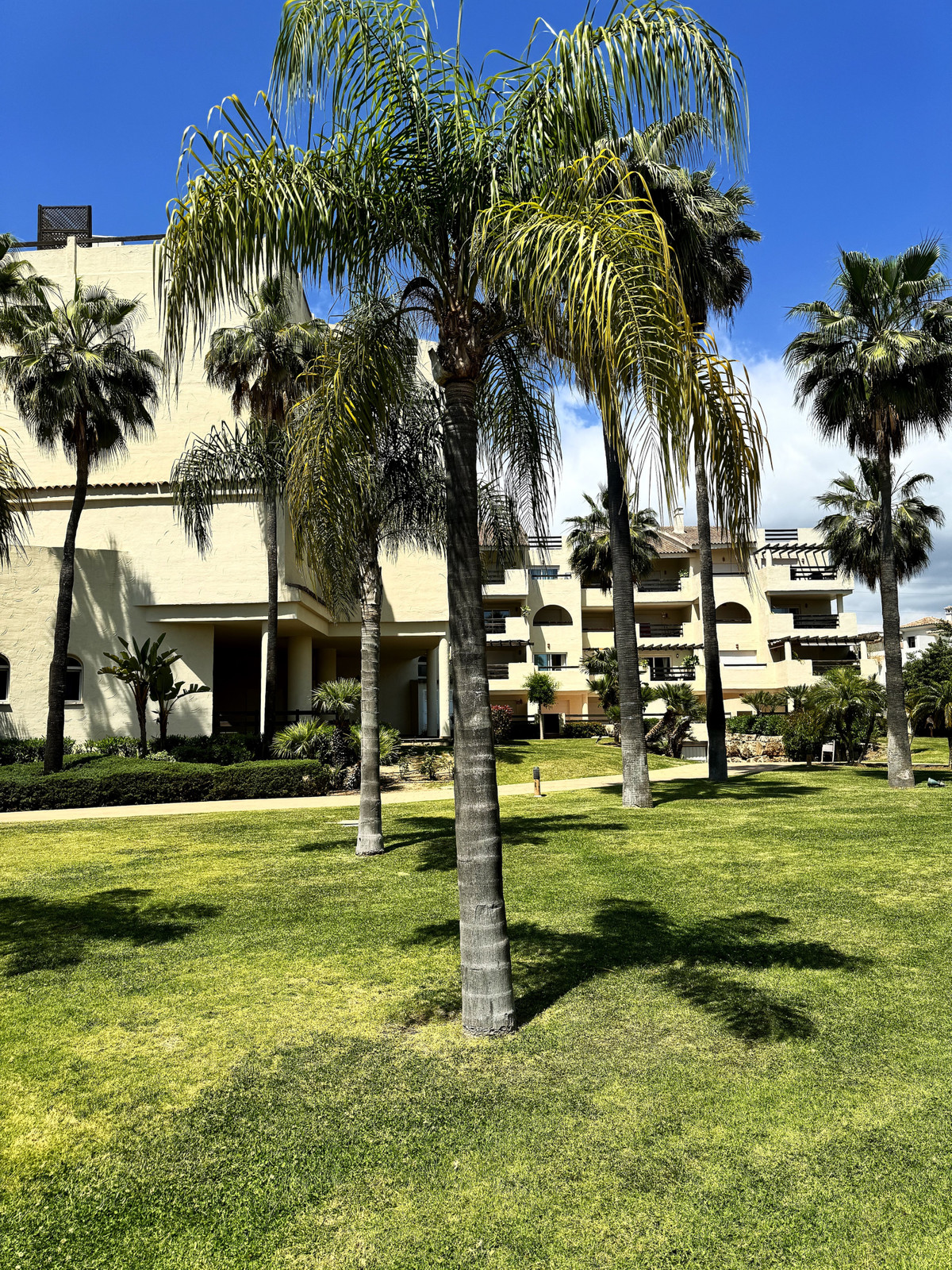 						Apartamento  Planta Baja
													en venta 
																			 en El Paraiso
					