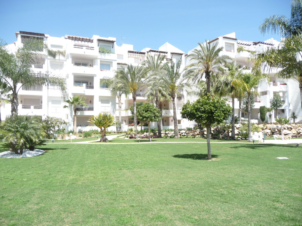 						Apartment  Middle Floor
																					for rent
																			 in Costalita
					