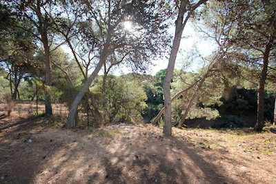 0 bedroom Land For Sale in Hacienda Las Chapas, Málaga - thumb 15