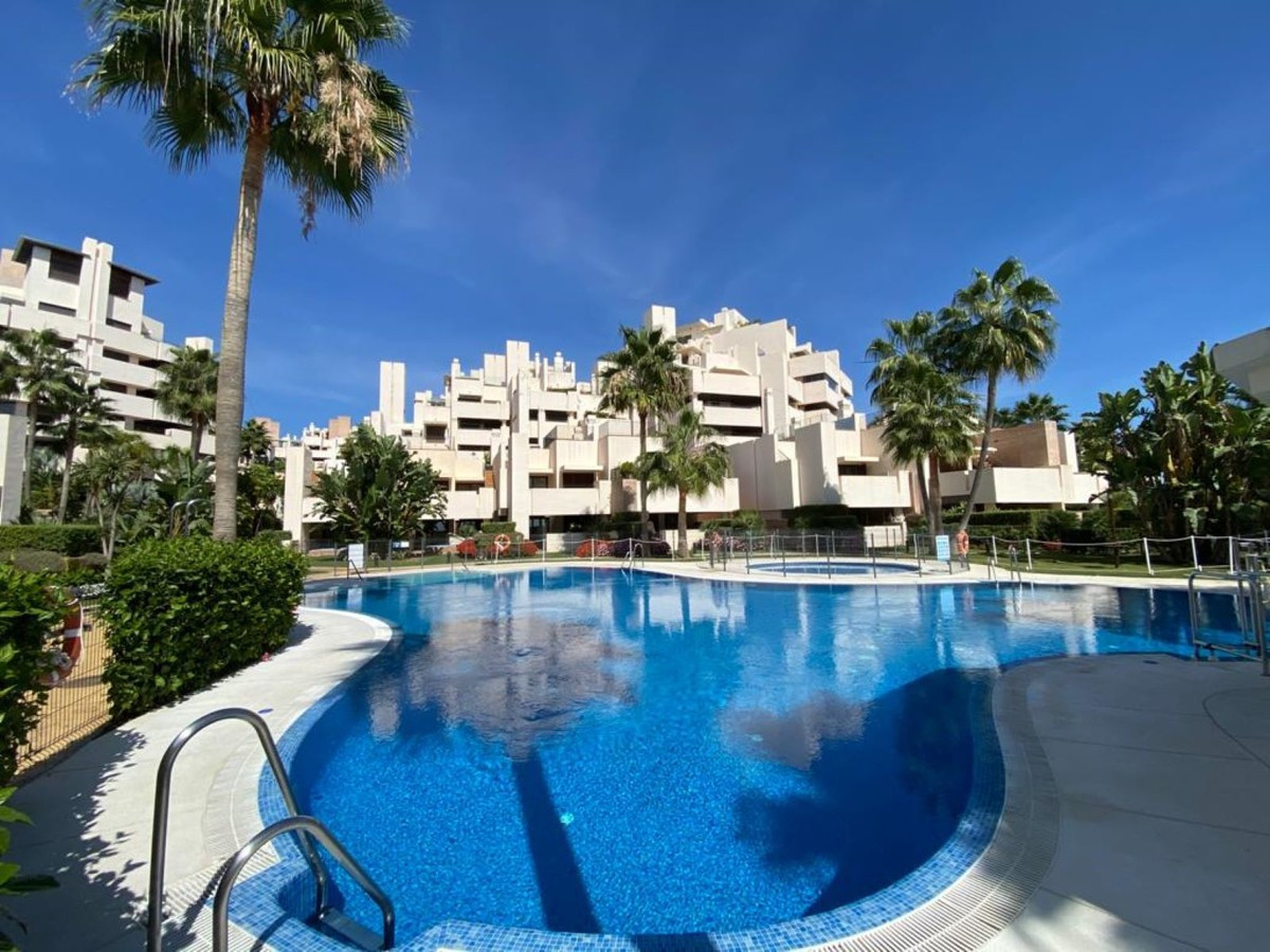 						Apartment  Middle Floor
													for sale 
															and for rent
																			 in Estepona
					