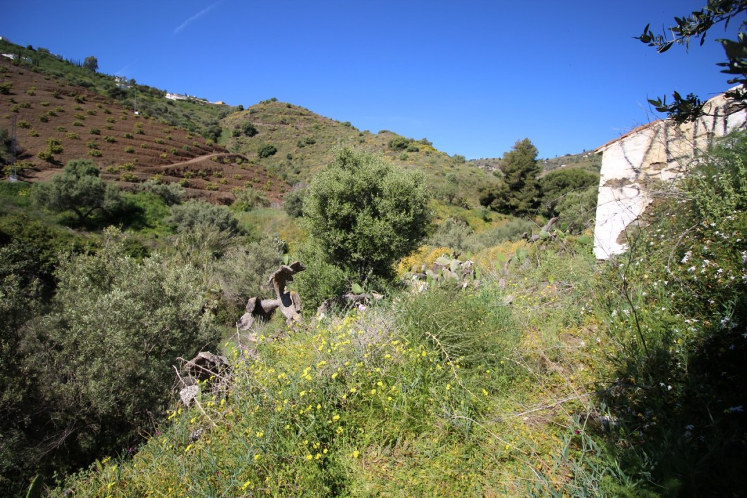 Fabulous rustic, finca in Torrox, with well own and olive trees, is 15 kilometres from the coast, has electricity and water.