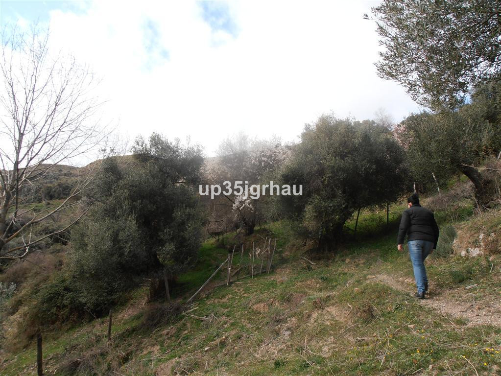 Rustic land with 4 hectares of land, located in the Serrania de Ronda, municipality of Algatocín 2 km from the village, very close to the Ronda-Alg...