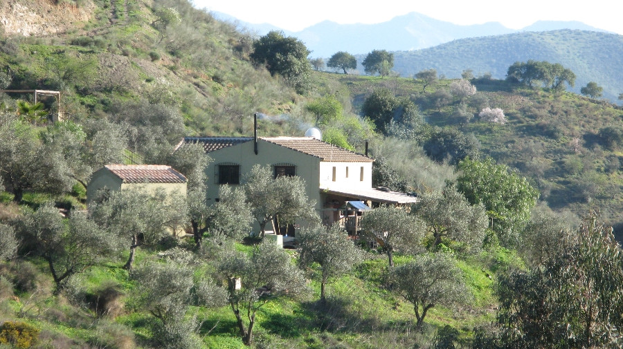 14 bedrooms Villa in Pizarra
