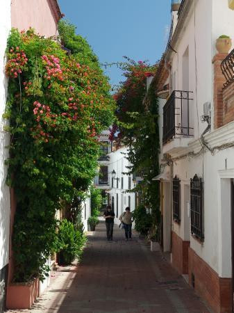 House to rebuild in the historic center of Marbella.
These are 3 independent registry farms. Each wi, Spain