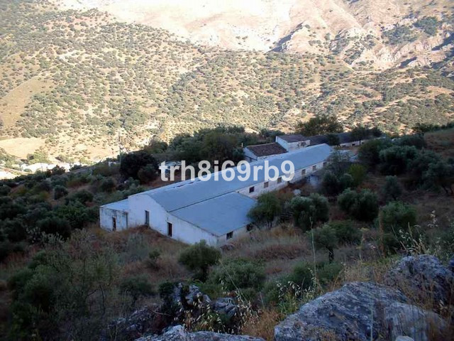 Prime investment project only 15 minutes from Ronda