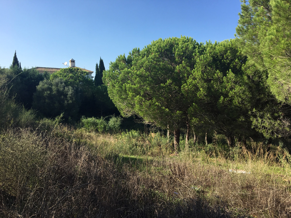Magnificent plot in Sotogrande next to the Hotel Almenara, with views to the sea and the golf course.