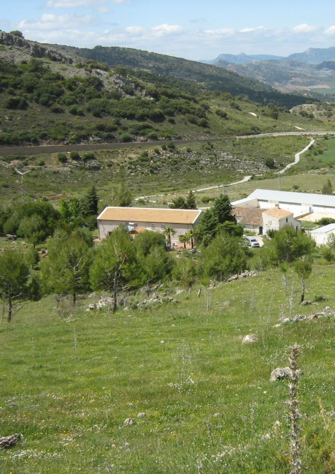 Situated at a 5 minutes drive from the ancestral city of Ronda, in the beautiful surroundings of the Serranía de Ronda, in the heart of Andalucía.