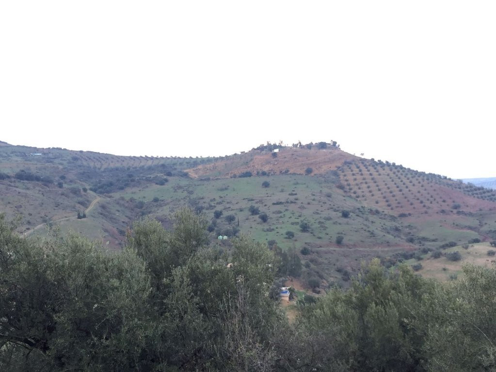 Almachar, Camino Viejo de Riogordo, Málaga Este, terreno, rustic plot