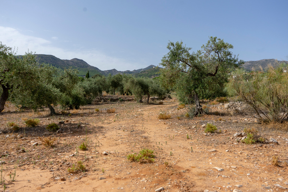 Plot located in Pinos de Alhaurin, very central to all amenities, with many possibilities to build it, has the ability to build 17 villas on plots...