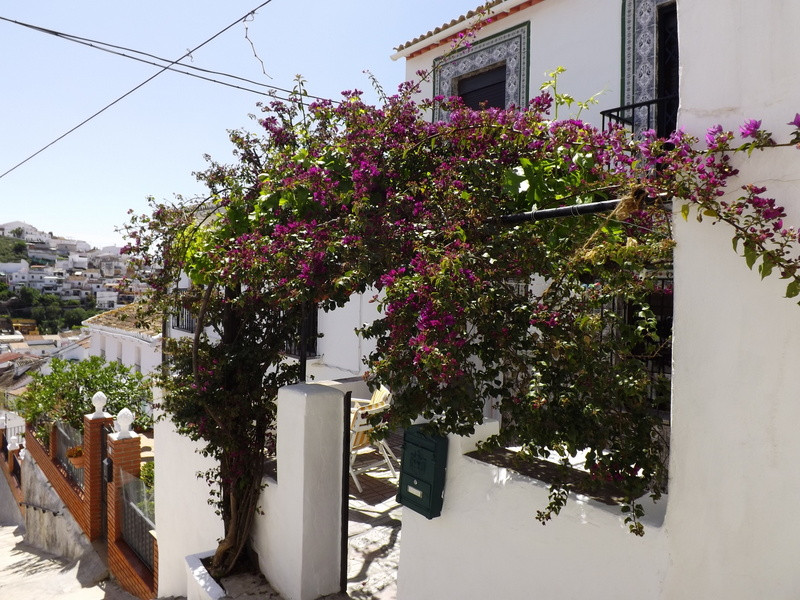 3 bedrooms Townhouse in Alora